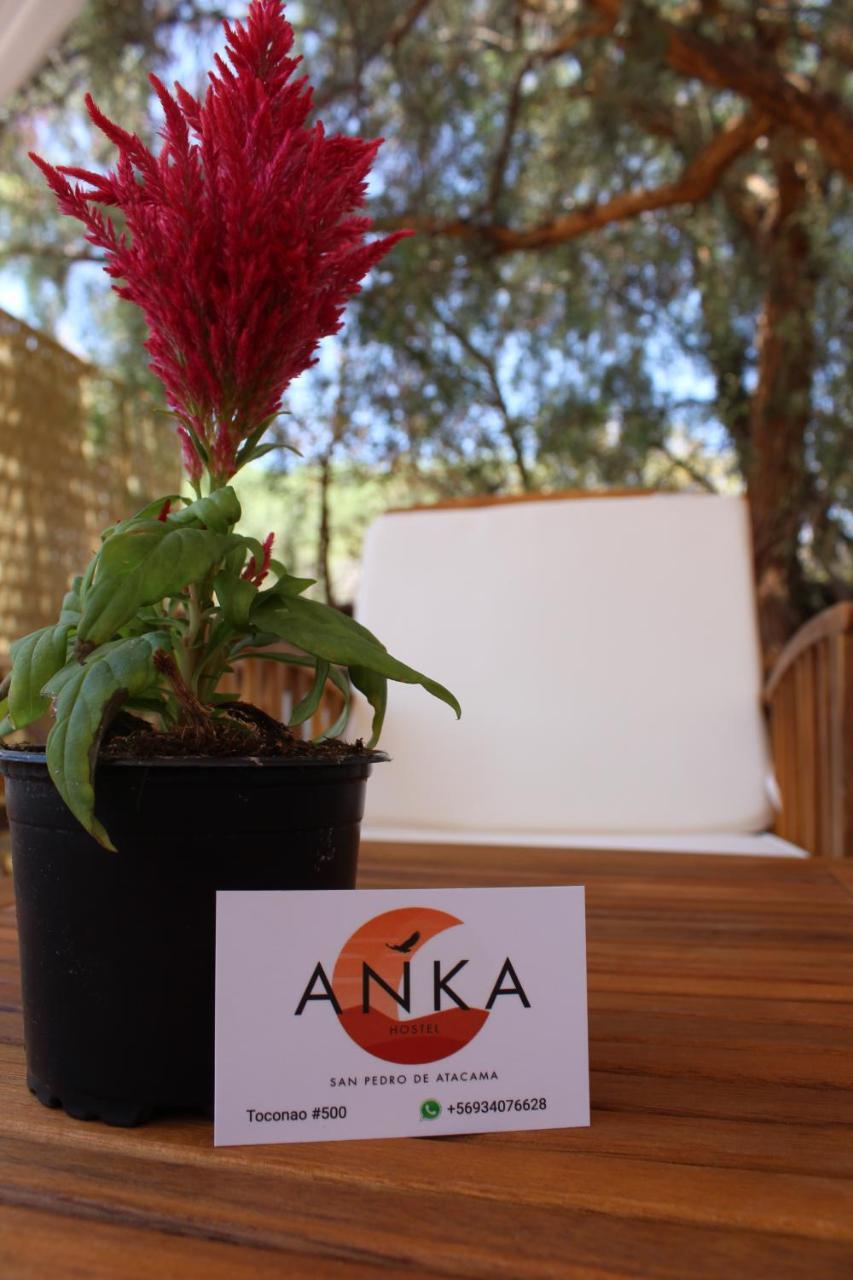 Anka Hostel San Pedro de Atacama Exterior photo
